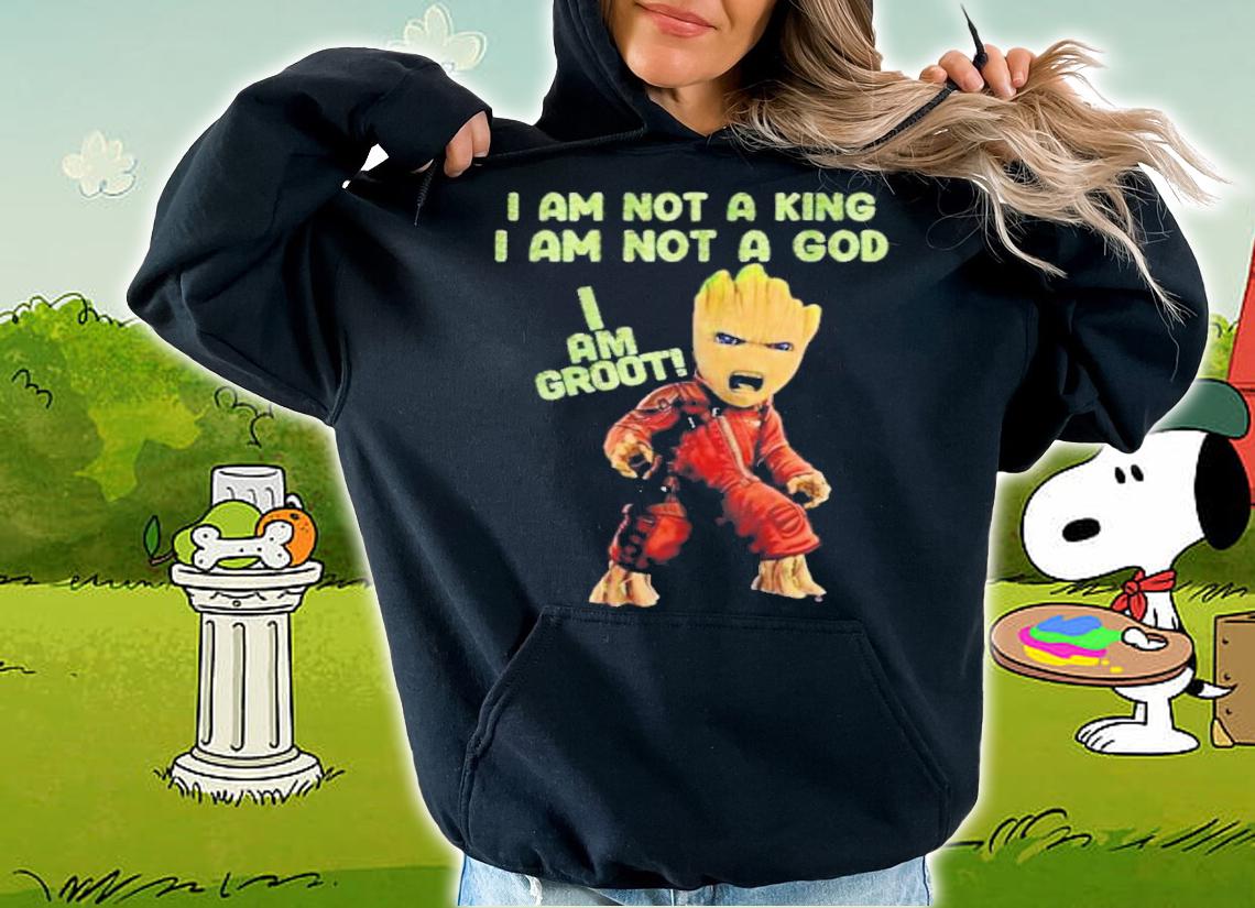 I Am Not A King Not A God I Am Groot T-Shirt t-shirt hoodie