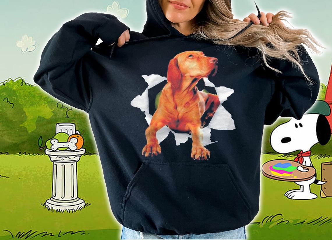 Vizsla Dog Breed Funny Dog Scratch Design  Dog Lover Gift Shirt hoodie
