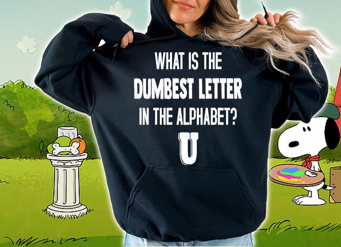 What Is The Dumbest Letter T-Shirt hoodie