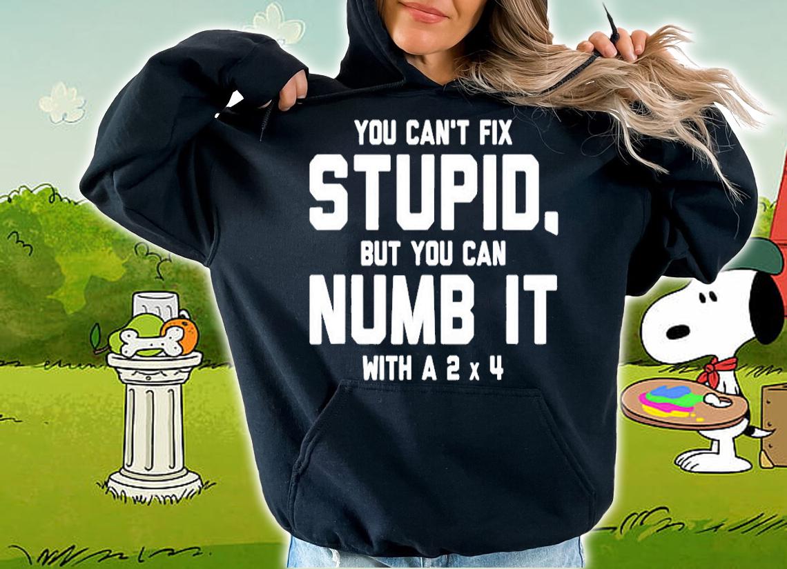You Cant Fix Stupid, Numb It With 2 x 4 Redneck Funny T-Shirt hoodie
