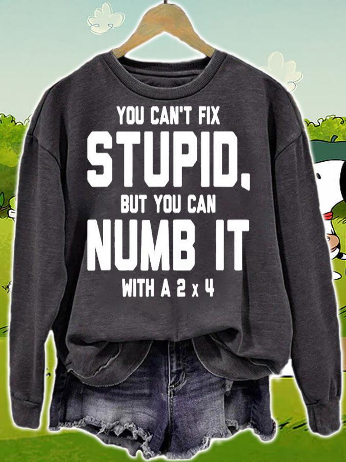 You Cant Fix Stupid, Numb It With 2 x 4 Redneck Funny T-Shirt sweatshirt