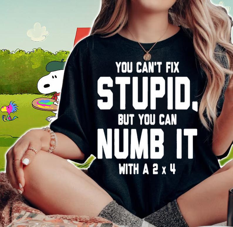 You Cant Fix Stupid, Numb It With 2 x 4 Redneck Funny T-Shirt woman shirt