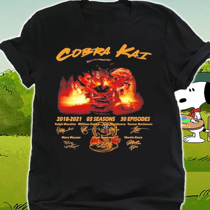 CoBra Kai 2018-2021 03 seasons 30 episodes t-shirt shirt